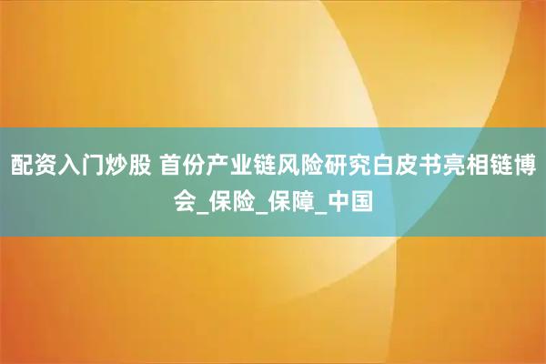 配资入门炒股 首份产业链风险研究白皮书亮相链博会_保险_保障_中国